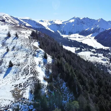 Tulipe, 5 Personnes, Entre Sancy Et Volcans D'auvergne Apartmán *