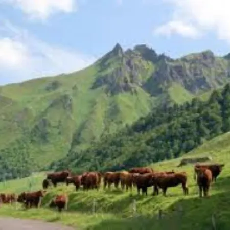 Tulipe, 5 Personnes, Entre Sancy Et Volcans D'auvergne Apartmán Orcival