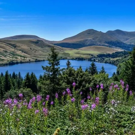 Tulipe, 5 Personnes, Entre Sancy Et Volcans D'auvergne Apartmán