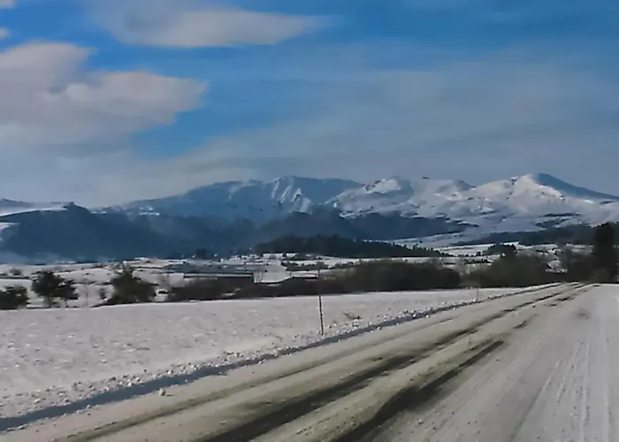 Tulipe, 5 Personnes, Entre Sancy Et Volcans D'auvergne Orcival