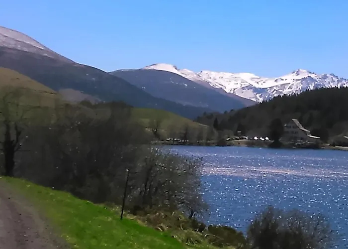 Tulipe, 5 Personnes, Entre Sancy Et Volcans D'auvergne Διαμέρισμα Orcival