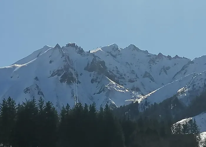 Διαμέρισμα Tulipe, 5 Personnes, Entre Sancy Et Volcans D'auvergne Orcival
