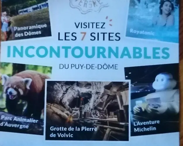 Tulipe, 5 Personnes, Entre Sancy Et Volcans D'auvergne *