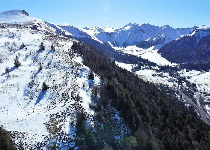 Tulipe, 5 Personnes, Entre Sancy Et Volcans D'auvergne Διαμέρισμα *
