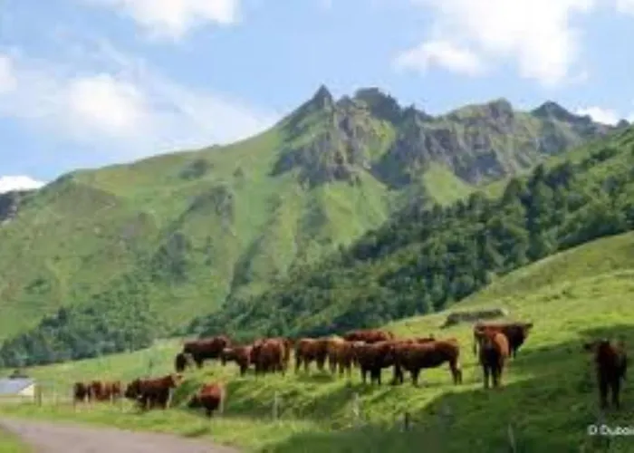 Tulipe, 5 Personnes, Entre Sancy Et Volcans D'auvergne Διαμέρισμα Orcival