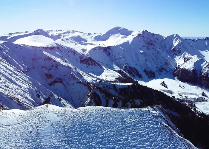 Tulipe, 5 Personnes, Entre Sancy Et Volcans D'auvergne *