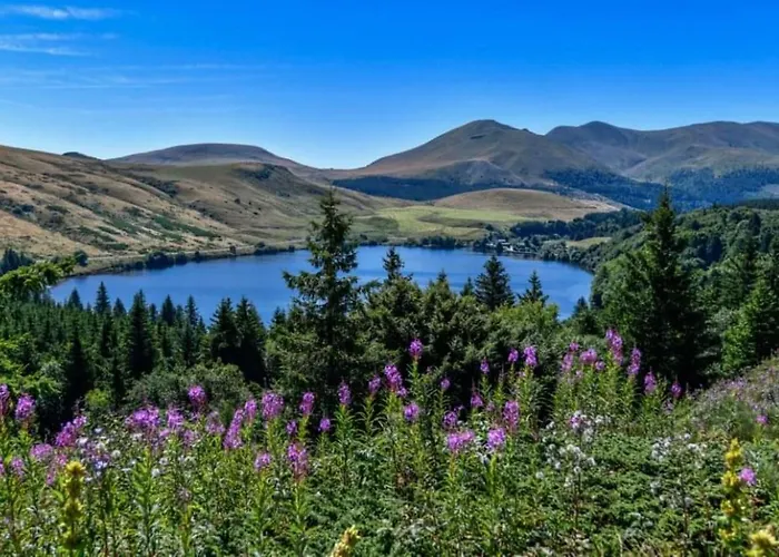 Tulipe, 5 Personnes, Entre Sancy Et Volcans D'auvergne Διαμέρισμα