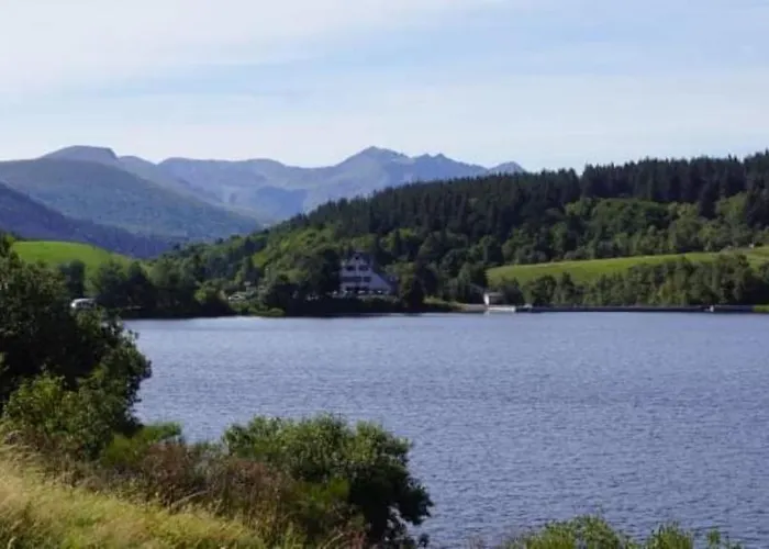 Tulipe, 5 Personnes, Entre Sancy Et Volcans D'auvergne Διαμέρισμα Orcival