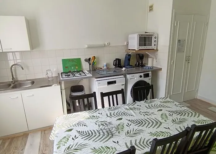 Tulipe, 5 Personnes, Entre Sancy Et Volcans D'auvergne Διαμέρισμα *