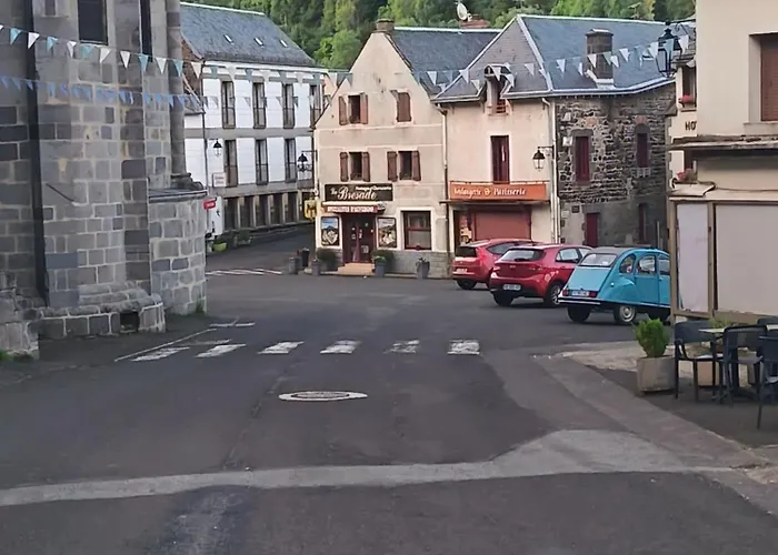 Tulipe, 5 Personnes, Entre Sancy Et Volcans D'auvergne *